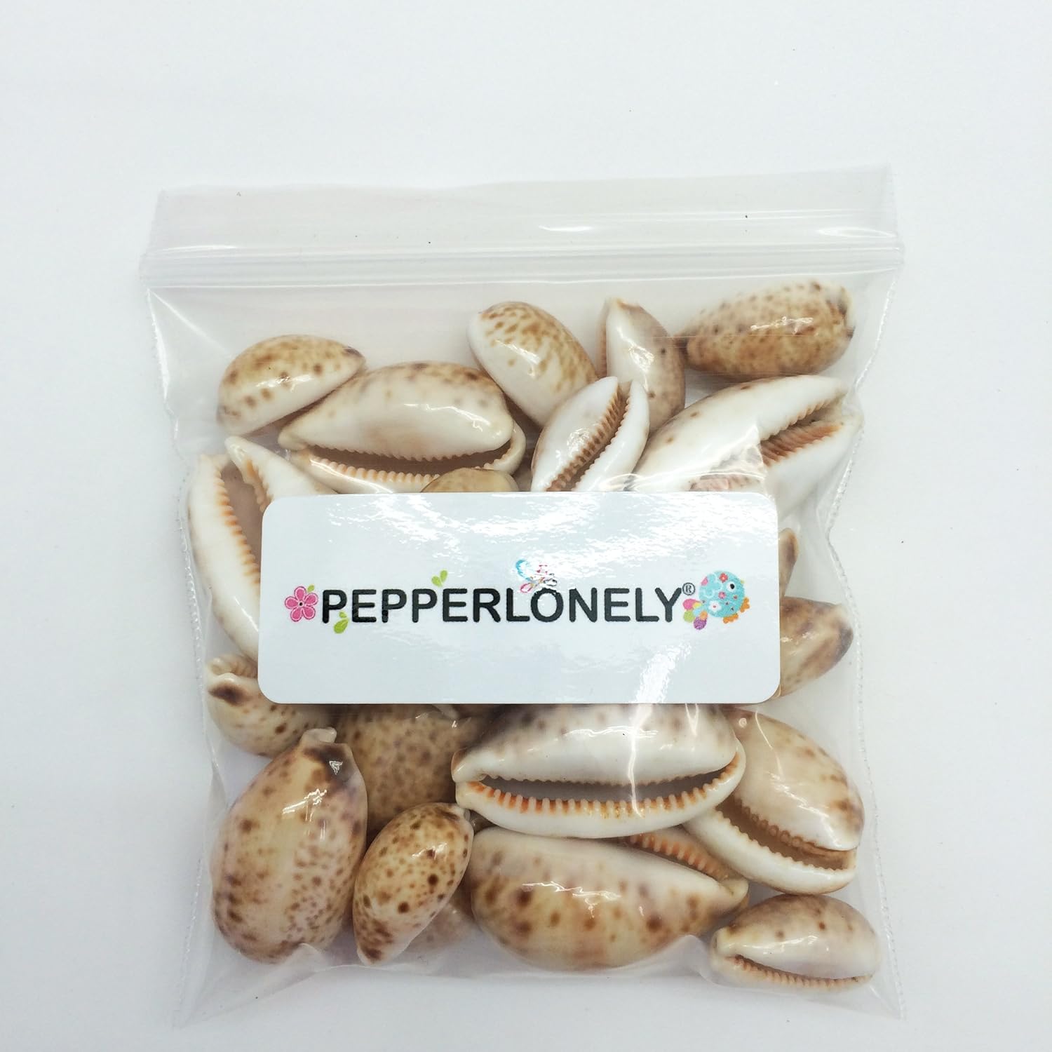 PEPPERLONELY 25PC Lynx Cowry Sea Shells, 3/4 Inch ~ 1-1/2 Inch