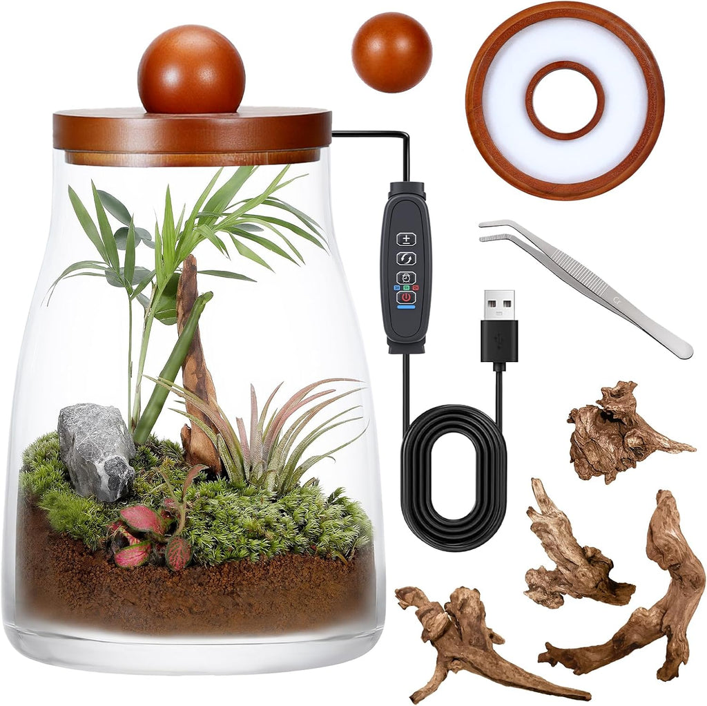 Desktop Glass Plant Terrarium with Grow Light, Plants Propagation Station for Moss,Succulent,Miniature Gardening Landscape,Betta Fish Tank,Desktop Decorations for Home and Office, Plant Lovers Gift