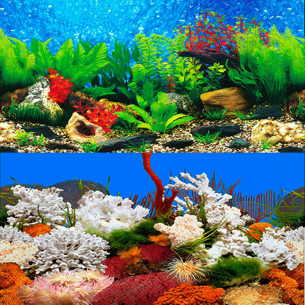 ELEBOX New 23" x 71" Fish Tank Background 2 Sided River Bed & Lake Background Aquarium