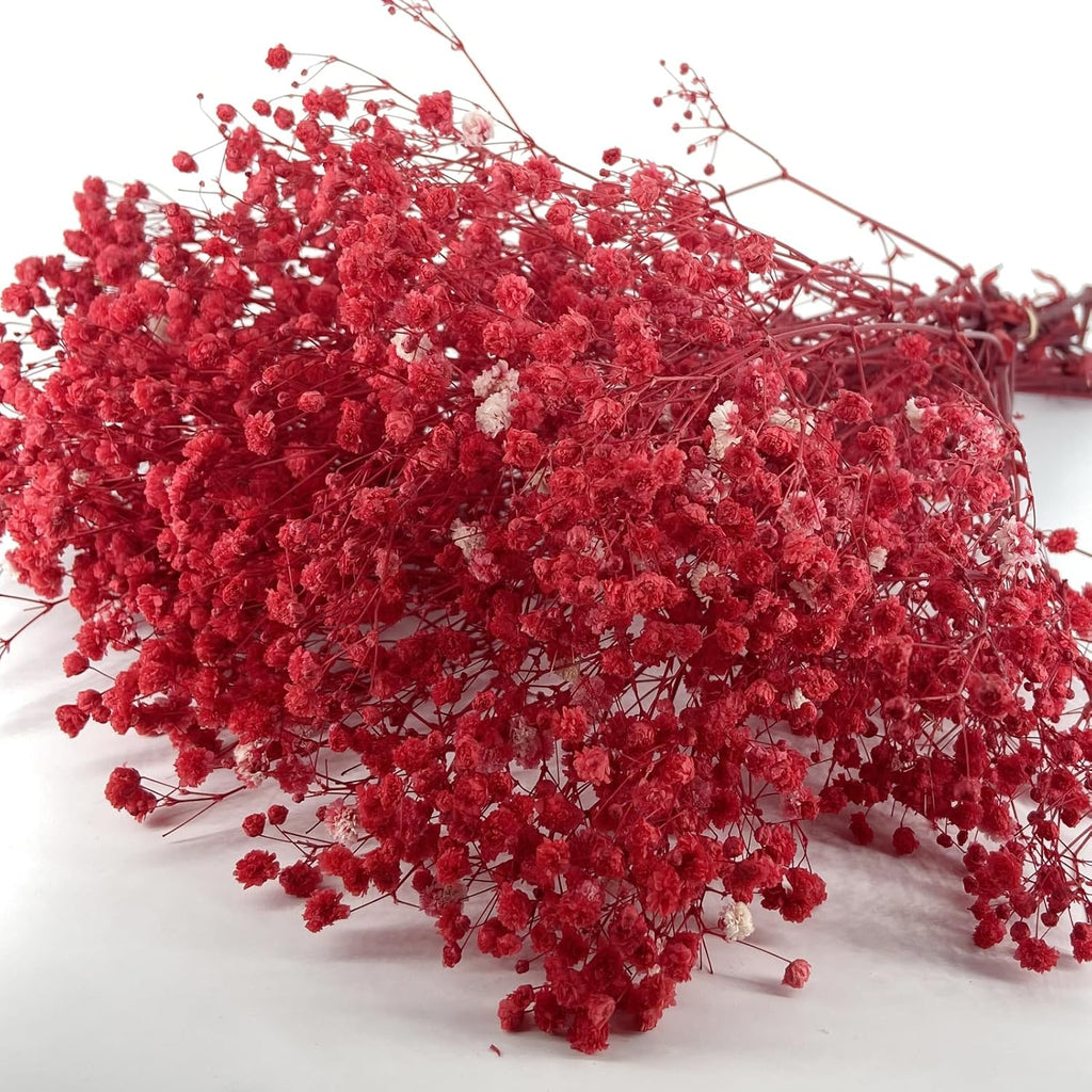 Birtlynn Preserved Baby's Breath, 100% Natrual Gypsophila Long Lasting Flowers for Vase Arrangements Home Decoration Photo Props Parties and Weddings, DIY Décor-Red
