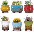 ARTKETTY Succulent Pots - Small Succulent Plant Pot with Drainage Set of 6, Ceramic Cactus Planter Pots for Indoor Unique Flower Planter Container for Home Office Decor