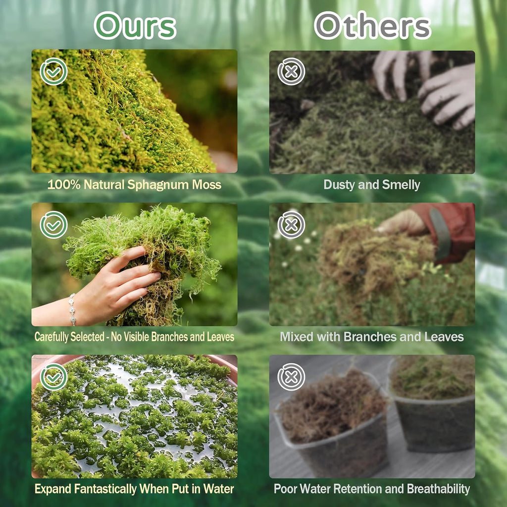 Riare 1.1LB Premium Sphagnum Moss for Reptiles- 25QT Natural Reptile Moss Dried, Forest Live Moss for Terrarium, Frogs Snake Peat Moss Bedding for Leopard Gecko Turtle Anoles Salamanders Orchid