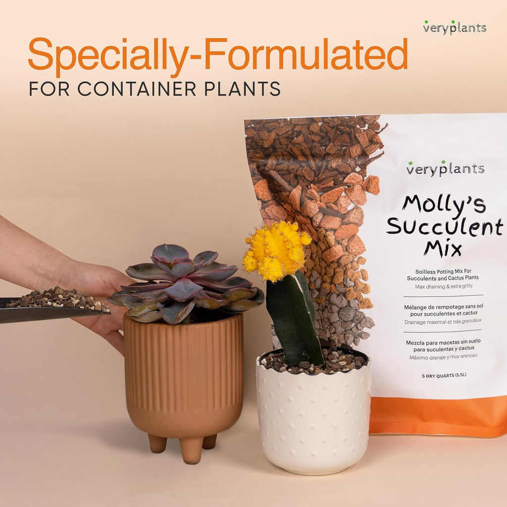 Molly's Succulent Mix - Premium Gritty Soilless Potting Mix for Succulents, Cactus and Bonsai - Contains Akadama, Hyuga, Bark Fines, Pumice, Lava Rock, Mycorrhizae 5 Dry Quarts