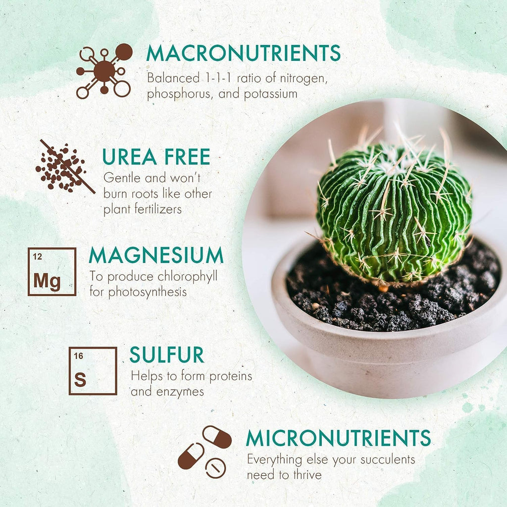 The Grow Co Succulents & Cactus Plant Food - Gentle Long Lasting Formula, Slow Release Fertilizer (Liquid Alternative) for All Potted Succulent, Cacti & Aloe Vera Plants (5 oz)