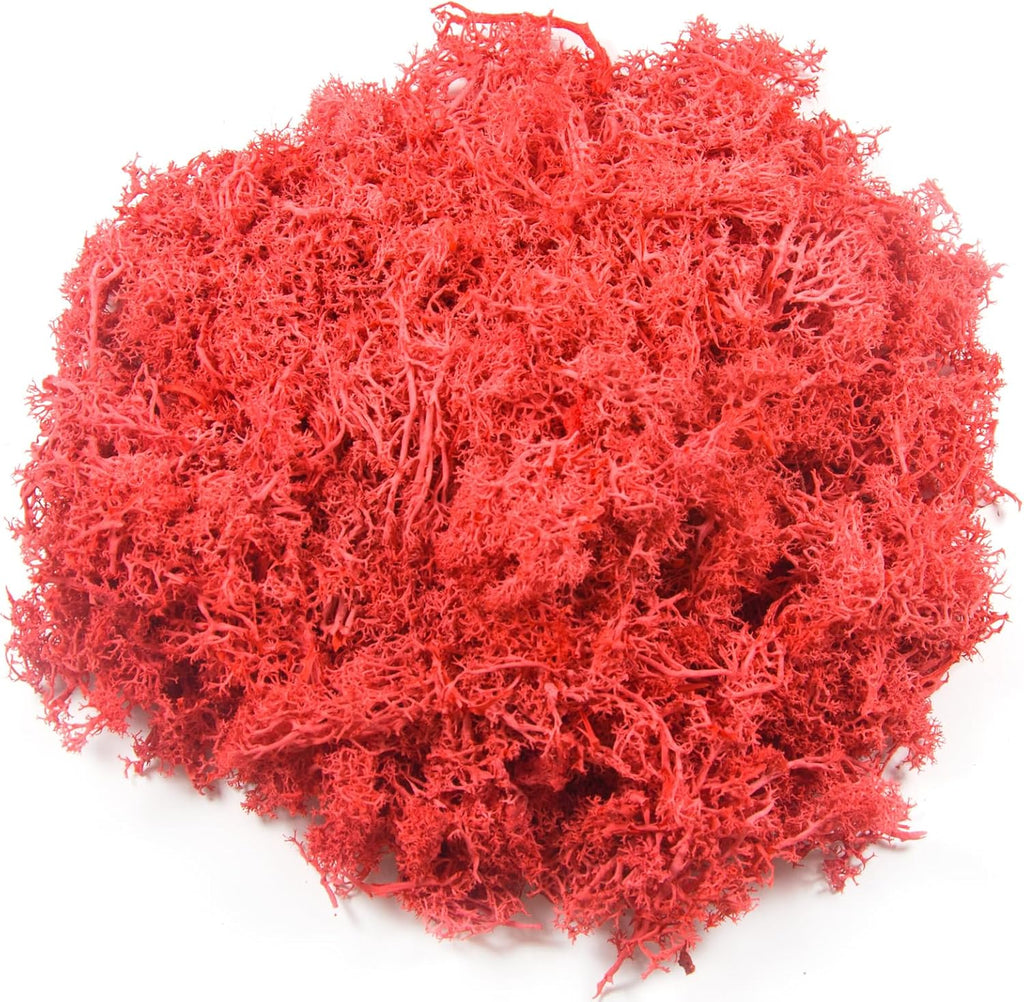 3.5 oz Artificial Moss for Plants Indoor, Fake Preserved Reindeer Moss for Centerpieces Home Decor Potted Plants Crafts Wedding Wall Decor(Red)