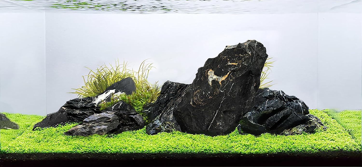 LANDEN Dark SEIRYU Stones Natural Rocks(17lbs, 3~11 inches,7-8pcs) for Aquarium, Paludarium, Terrariums, Landscaping Rocks, Decorative Aquarium Rocks
