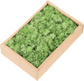 MECCANIXITY 7.8oz Preserved Reindeer Moss, Grass Green Decorative Artificial Fake Moss for Potted Plants Indoor Crafts Lichen Centerpieces Decor