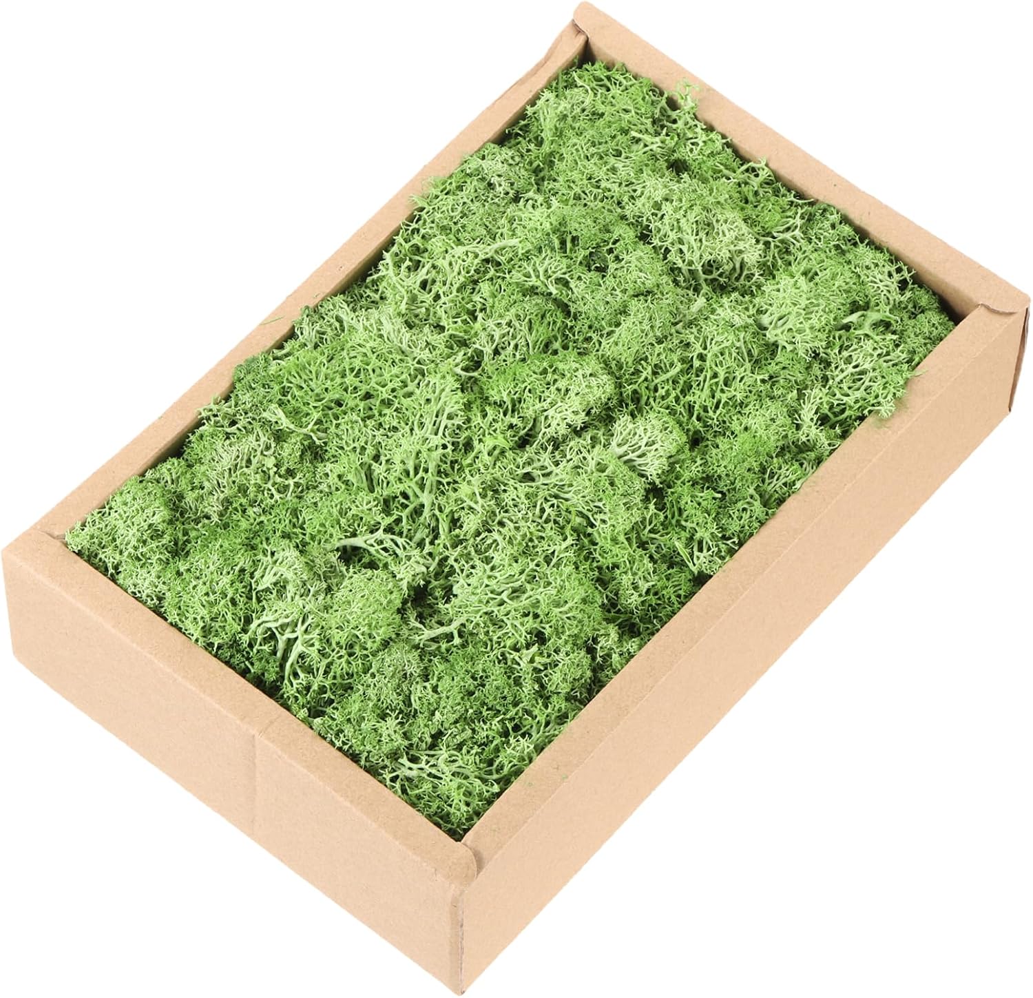 MECCANIXITY 7.8oz Preserved Reindeer Moss, Grass Green Decorative Artificial Fake Moss for Potted Plants Indoor Crafts Lichen Centerpieces Decor