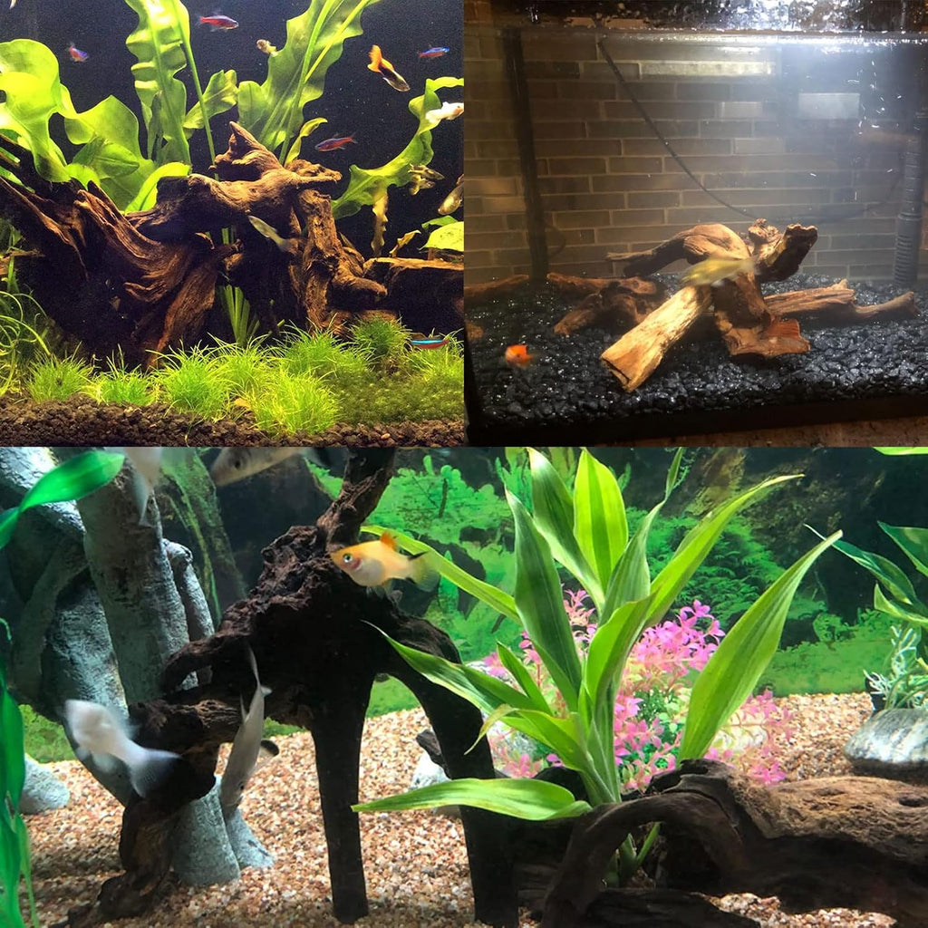 Tfwadmx Natural Driftwood Aquarium Decor Wood Branches, 3 Pieces 7-9.5" Fish Tank Driftwood Decoration, Terrarium Mopani Wood for Aquarium Freshwater Reptile Tank