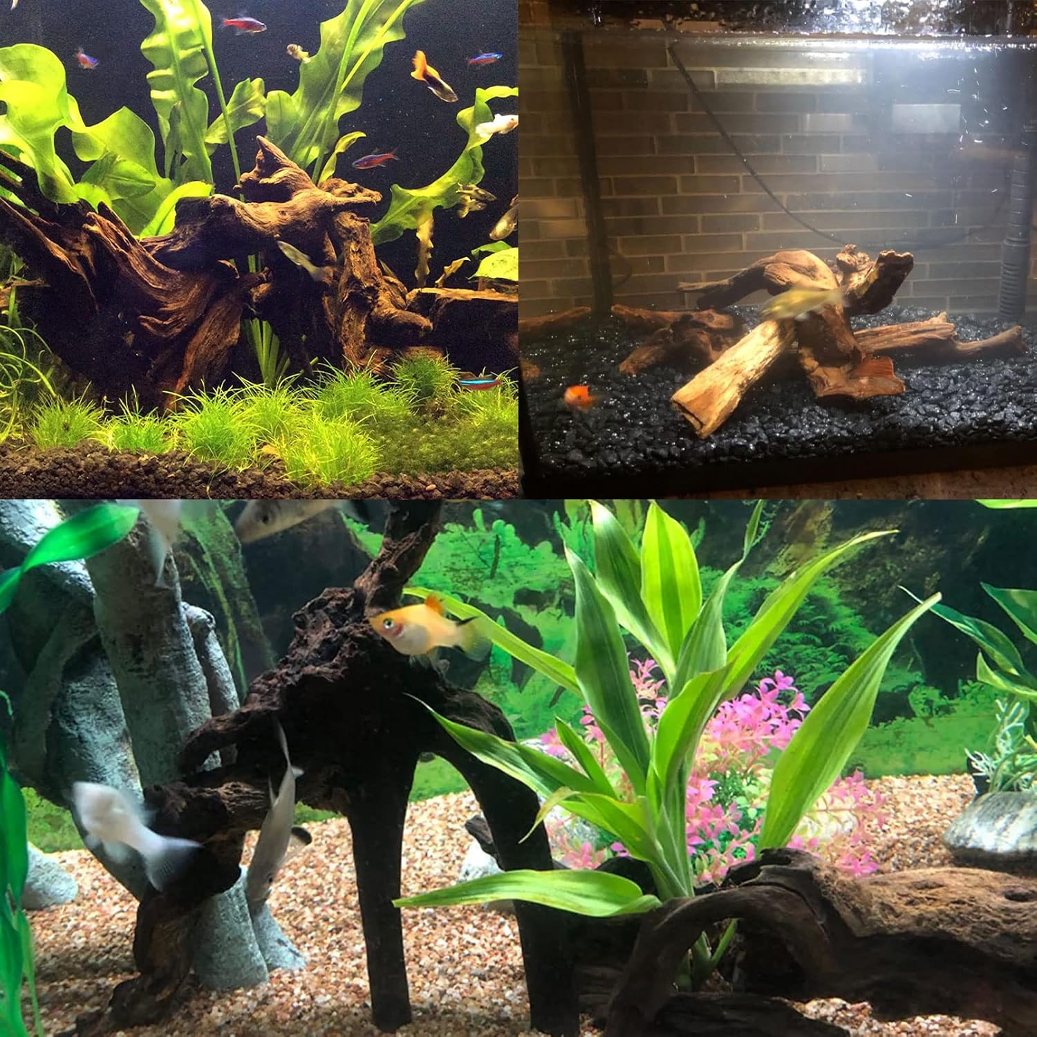 Tfwadmx Natural Driftwood Aquarium Decor Wood Branches, 3 Pieces 7-9.5" Fish Tank Driftwood Decoration, Terrarium Mopani Wood for Aquarium Freshwater Reptile Tank