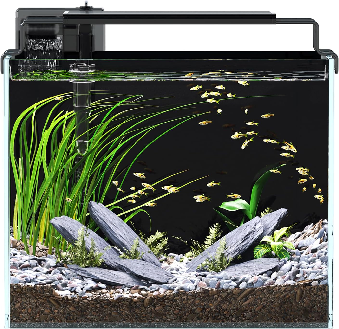 3 Gallon Fish Tank Aquarium Kit with Filter, LED Light with Timer, Siphon Vacuum Cleaner, Lid, Self-Cleaning Glass Rimless Betta Tank