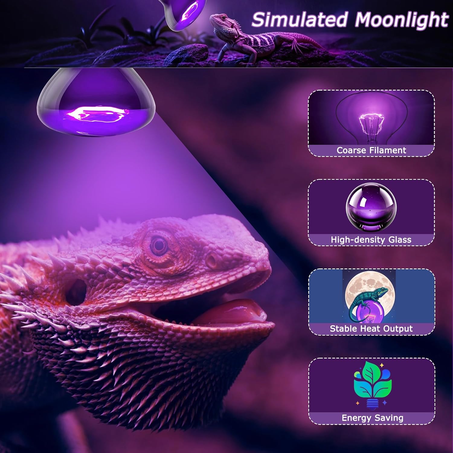75W Reptile Night Light Bulb – 2.5" Compact Purple UVA Basking Lamp for Lizards, Chameleons, Snakes, Turtles, Amphibians, Bearded Dragons – Indoor Terrarium Heat & Night Lamp, 2-Pack