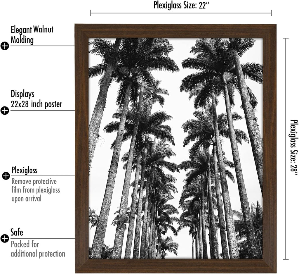 Americanflat 22x28 Poster Frame with Polished Plexiglass - Wide Picture Frames Made of Engineered Wood for Vertical or Horizontal Wall Display - Epic Collection - Walnut