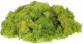 uxcell Preserved Reindeer Moss, 7oz Fake Moss for Crafts Artificial Dried Moss for Decoration Terrariums Potted Plants, Chartreuse