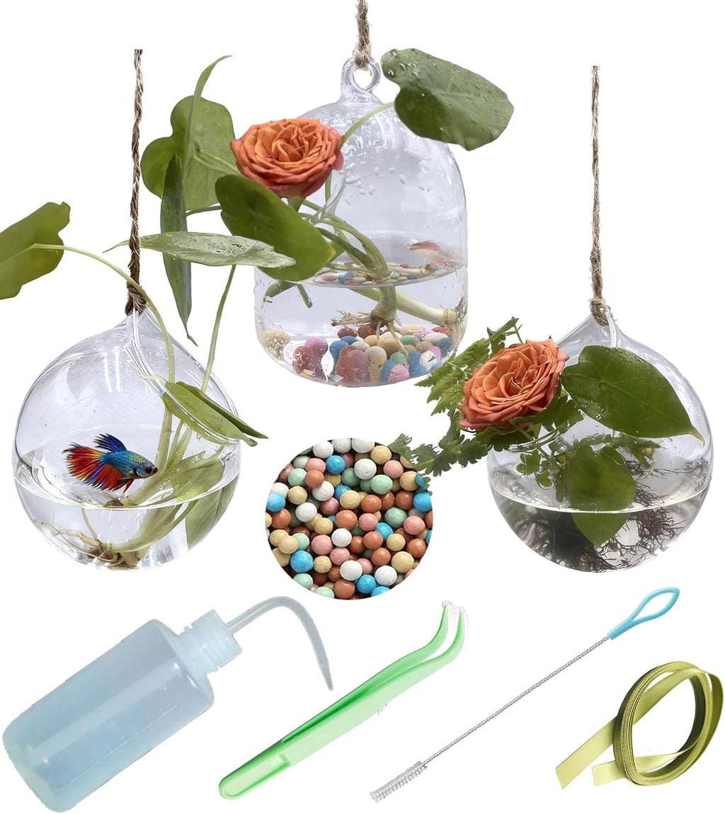 3 Pack Hanging Propagation Stations with Care Tool Kit (Squeeze Bottle & Tweezers Included), Glass Wall Planters for Indoor Plants, Hydroponic Terrarium Vases, Plant Lover Gifts for Women, Home Decor