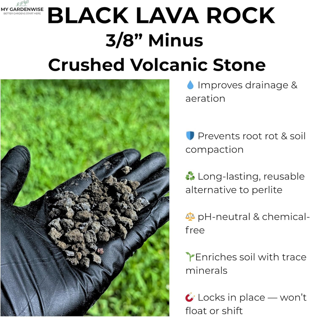 Lava Rocks for Plants (3/8’’ Minus), Natural Black Lava Rocks, Succulent & Terrarium Horticultural Volcanic Rock, Ideal Drainage for Potted Plants, Made in USA (3 qts - 4.8 lbs)