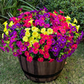 Artificial Faux Flowers for Outdoor 16 Bundles Boxwood Fake Morning Glory for Planter,UV Resistant Fake Flowers for Home Porch Patio Outside（4 Color）