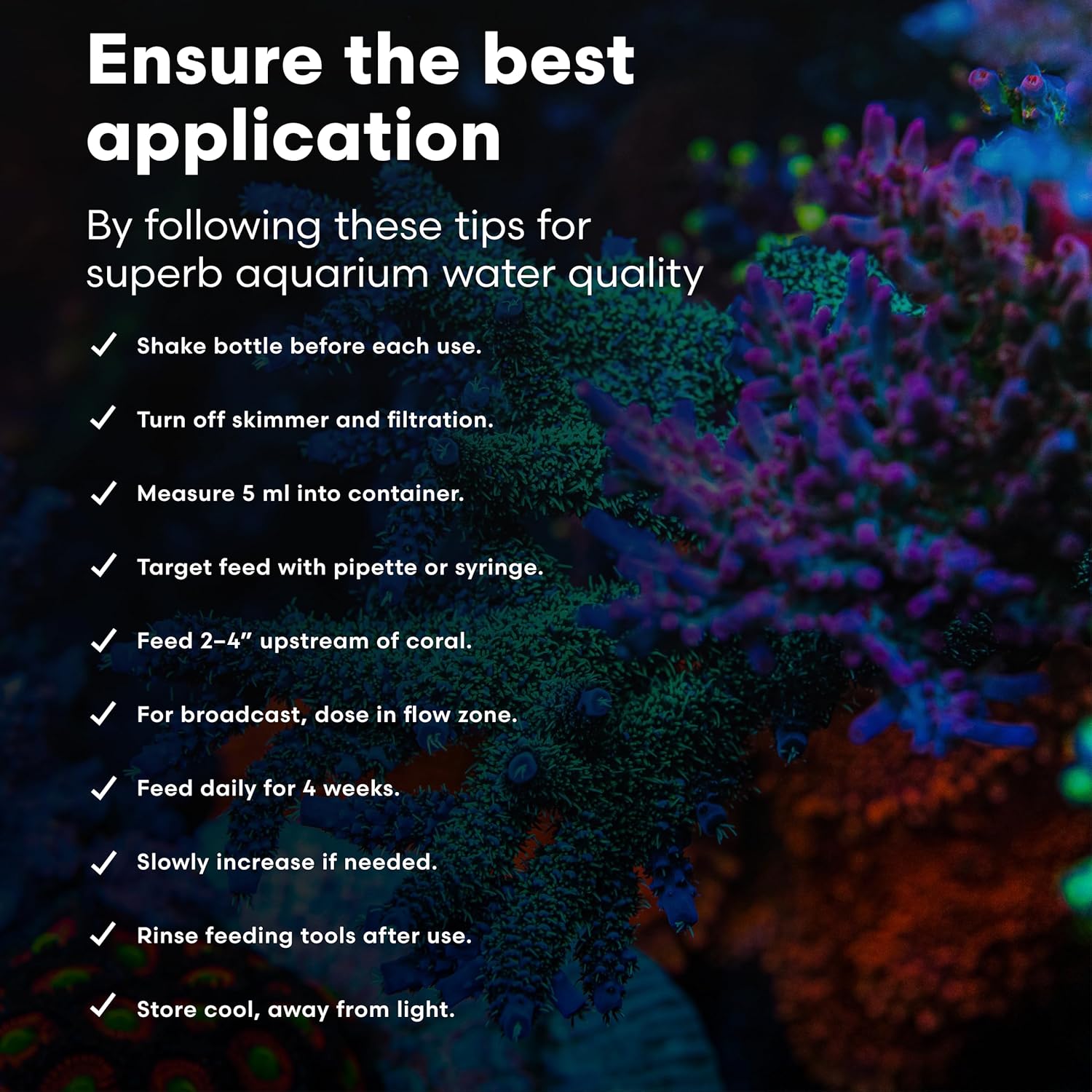 Brightwell Aquatics PhytōGreen-M Marine Phytoplankton for Reef Aquariums – Supports Corals, Sponges, Clams, Tube Worms & Filter Feeders – Amino Acids, EPA, 2L