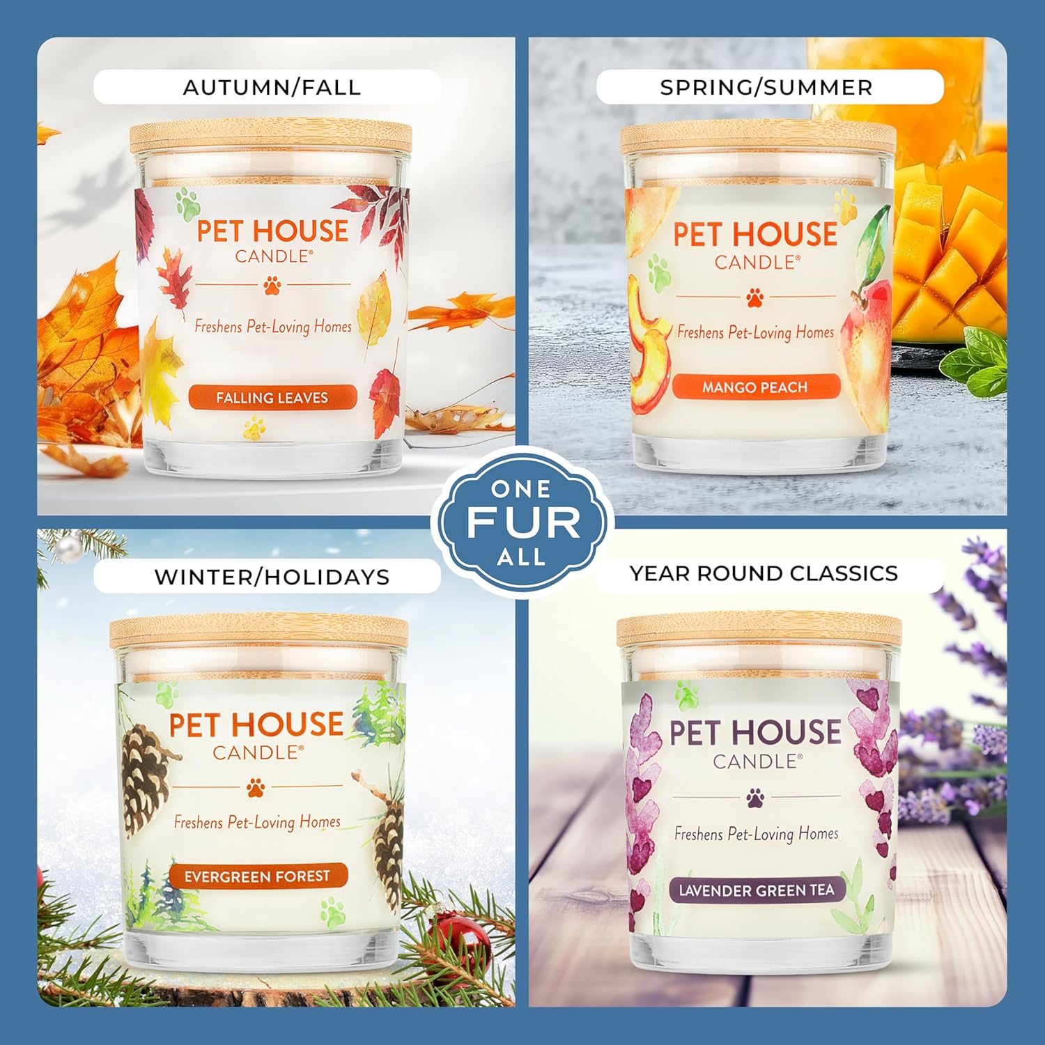 Pet House Candle Plant-Based Soy, Clean Burning Long Lasting Pet Friendly Candle for Home - Silver & Gold