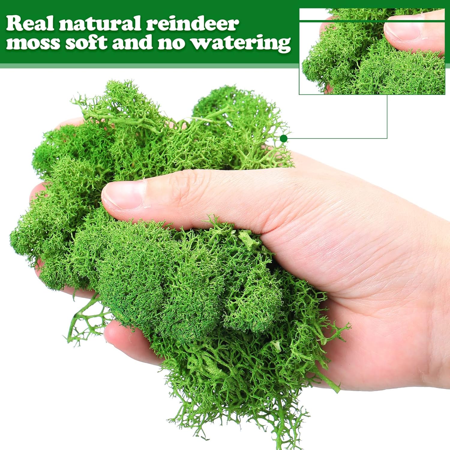 Jadive 21.2 oz Moss Preserved 1.32 Lbs Green Preserved Reindeer Moss Bulk Artificial Decorative DIY Kit for Craft Wall Decor Fairy Gardens Terrariums Art Project Table Floral Decor