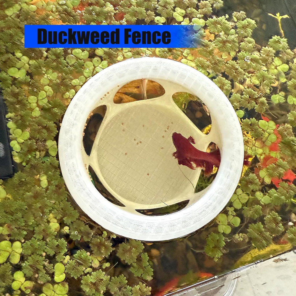 Floating Betta Fish Hideaway, Aquarium Suspended Resting Spot, Feeder for Small Fish and Shrimp, 3D Printed, Decorative Floating Cave Accessory for Aquariums. (Translucent Color)