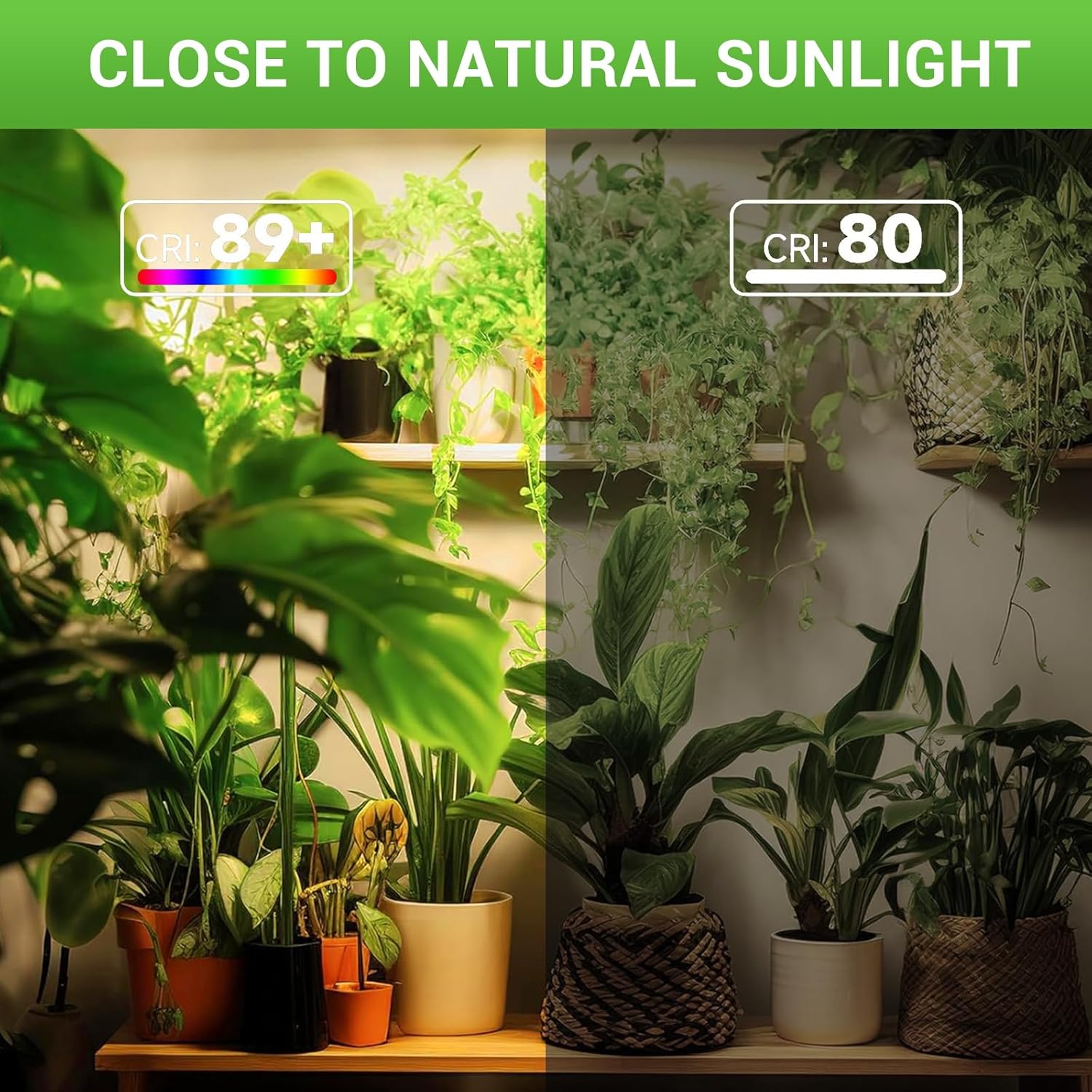 RDJ Bouns Hanging Grow Light for Indoor Plants, 80W Full Spectrum Pendant Grow Lights with 4H/8H/12H Timer Switch, 16.4ft Power Cord, Plug in Plant Lights with Adjustable Pulley and Panel