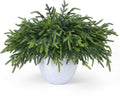 50 Pcs Christmas Greenery Pines Branch Pine Branches Artificial Green Pine Stem - Real Touch for Vase DIY Crafts Flower Arrangement Home Indoor Christmas Decor(18 Inch)