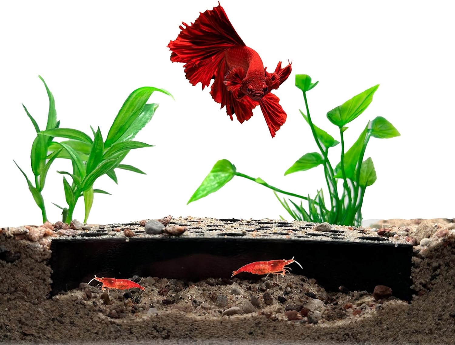 Shrimp Breeding Protector | Shrimp Breeding Cave Aquarium Tunnel | CTWPets (Black)
