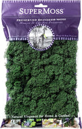 SuperMoss (21703) Reindeer Moss Preserved, Forest Green, 2oz