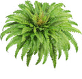 Artificial Ferns for Outdoors & Indoors, 45" Fake Ferns with 63 Fronds, Large Faux Fern Greenery Plants Ideal for Entrance Planter Porch Garden Hall Home Office Decor, Hanging or Potted