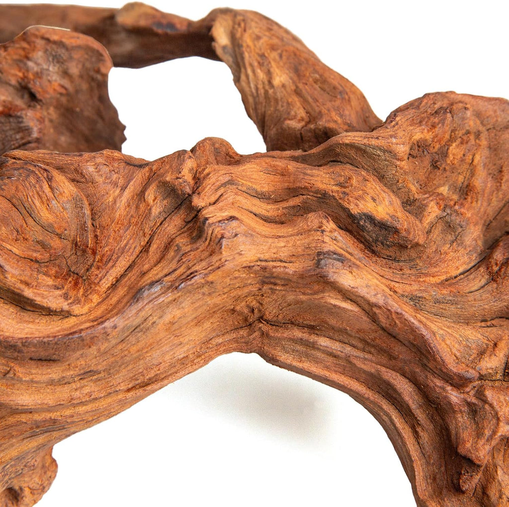 emours Aquarium Driftwood, 2 Pieces, Natural Mopani Style Branches, Low-Tannin & Smooth Edges, Sink Faster After Soak, Tie Moss Easily, for Planted/Shrimp/Betta Tanks (Medium (12–16 in / 30–40 cm))