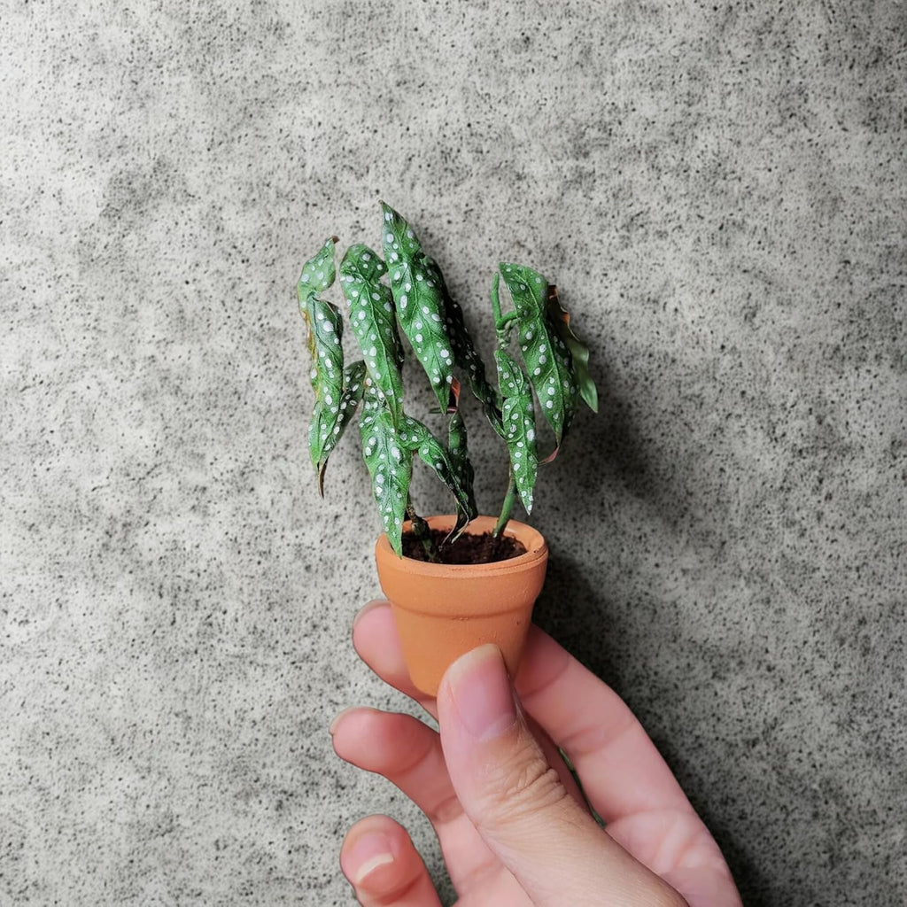 Mini Terracotta Pots – Small Clay Flower Pots for Succulents, Cactus, DIY Crafts, Fairy Garden, School Projects, Mini Planters, Set of 30 (Classic Cylinder, 1.4 Inch)