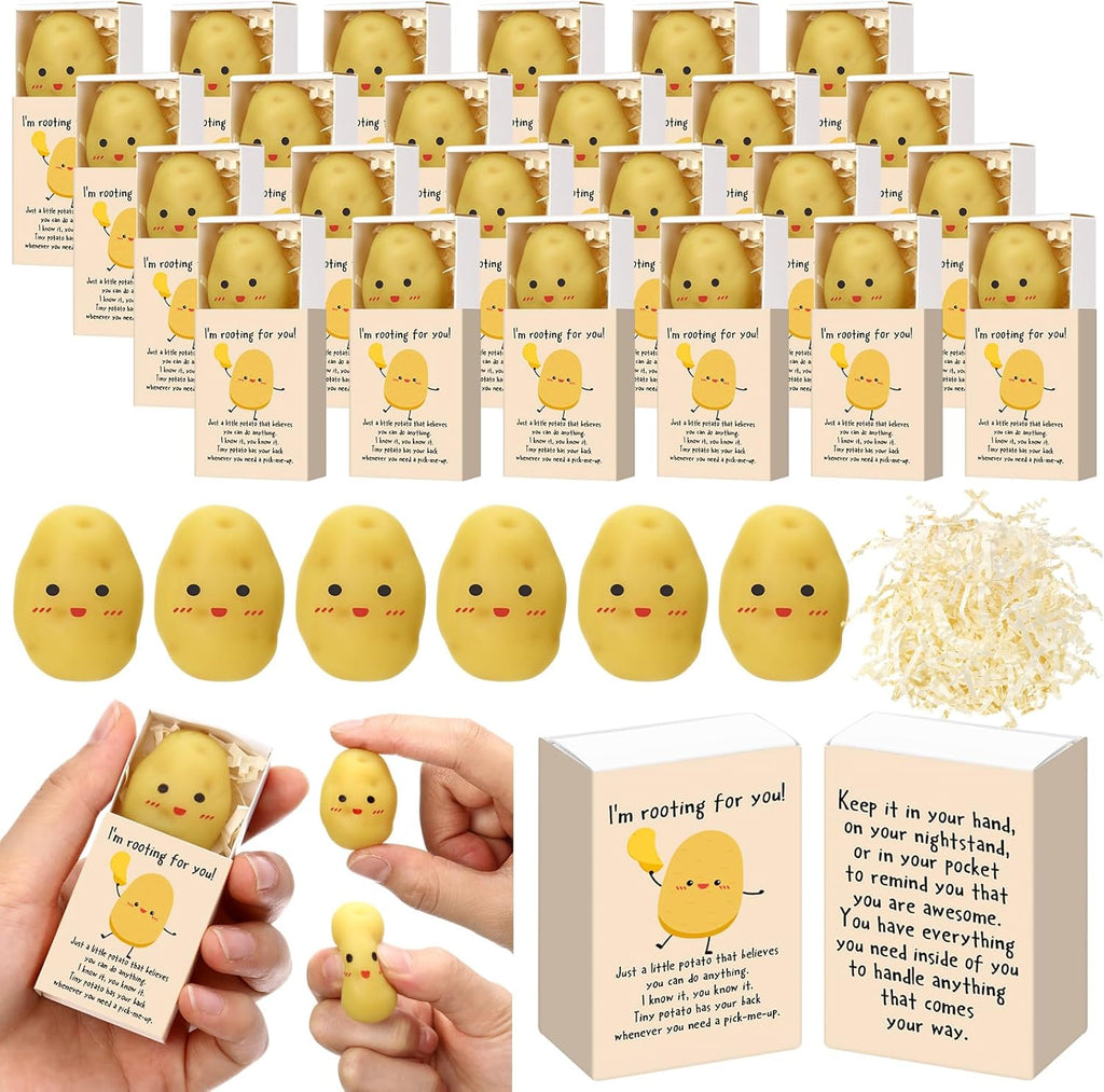 Wettarn 24 Sets Potato Support Gifts Cute Stress Balls with Gift Boxes Inspirational Party Favors for Employee Coworker Friends Office Positive Relief Toys