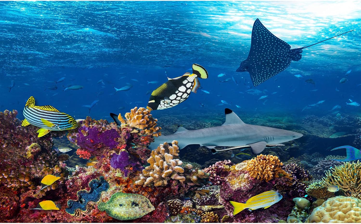 Under The Sea Aquarium Background Colorful Coral and Reefs Marine Life Fish Tank Background Deep Blue Sea Tropical Fish Shark with Sunbeams Terrarium Background Sea Theme Aquarium Backdrop 24x16in