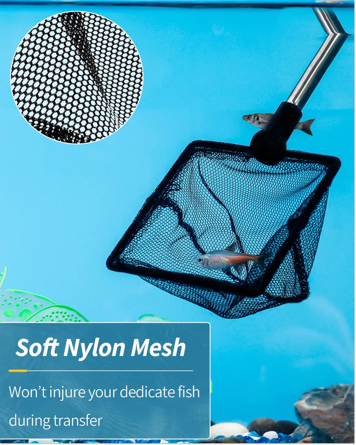 Pawfly Aquarium Fish Net with Extendable 9-24 Inch Long Handle for Betta Fish Tank Small Koi Pond and Pool