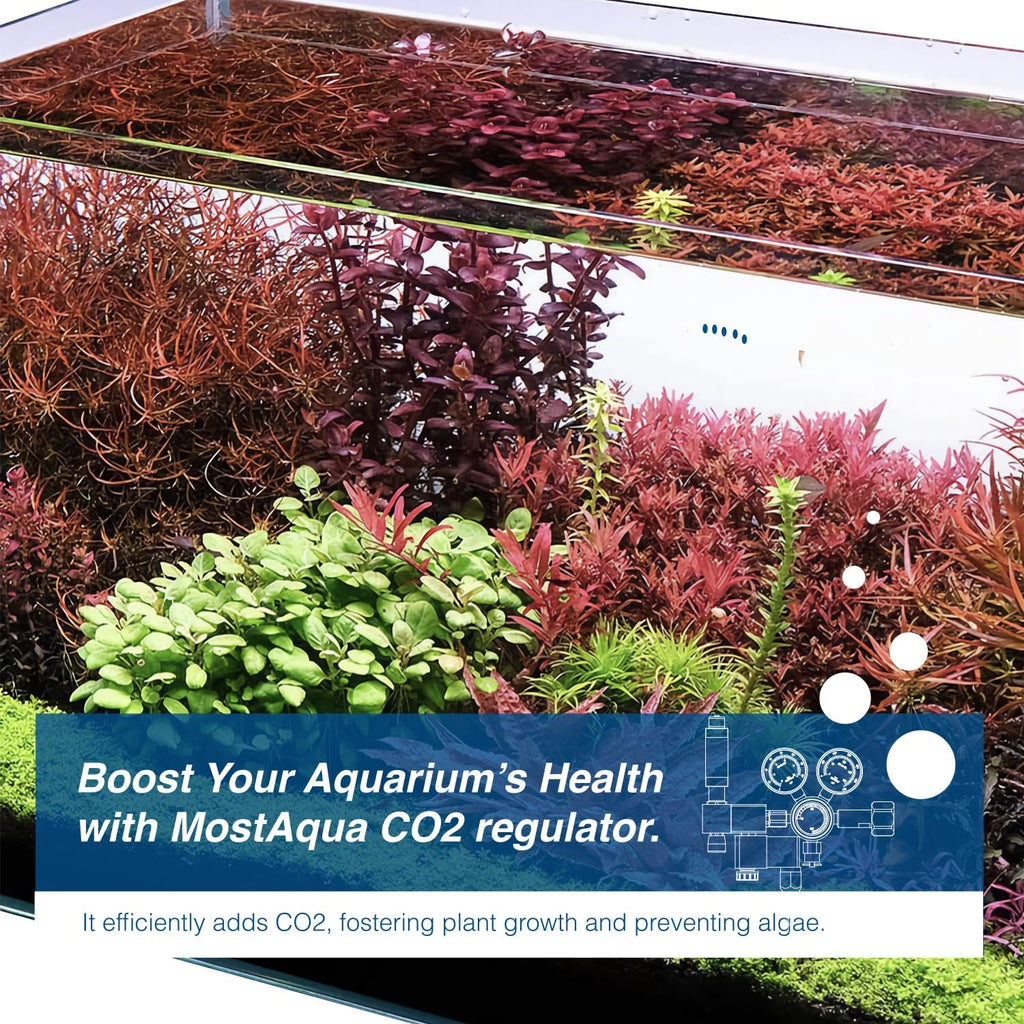 Aquarium Dual Stage Co2 Regulator, Pro-Master Series, Co2 System Kit for Aquarium Plants, Integrated Bubble Counter and Adjustable Output Pressure