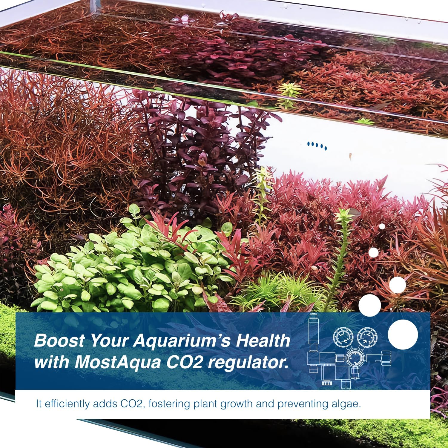 Aquarium Dual Stage Co2 Regulator, Pro-Master Series, Co2 System Kit for Aquarium Plants, Integrated Bubble Counter and Adjustable Output Pressure