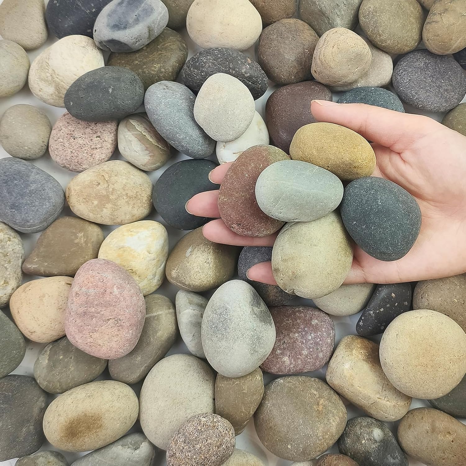 5 lbs Pebbles for Plants, 1-2 Inch Decorative River Rocks for Plants Indoor, Landscape, Garden, Aquarium, Fountain, Walkways and Outdoor Decorative Stones