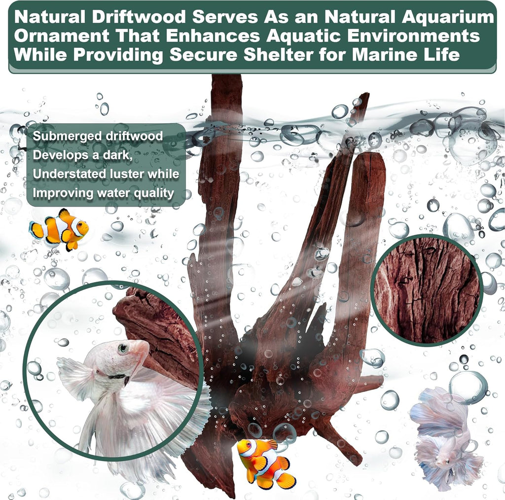 Natural Wood Driftwood for Aquarium Fish Tank Decor,Assorted Driftwood Trunk Branch for Reptile Tank Decor (MOP-ZYM Driftwood+Branch (8 to12 Inch)-Pack of 2)