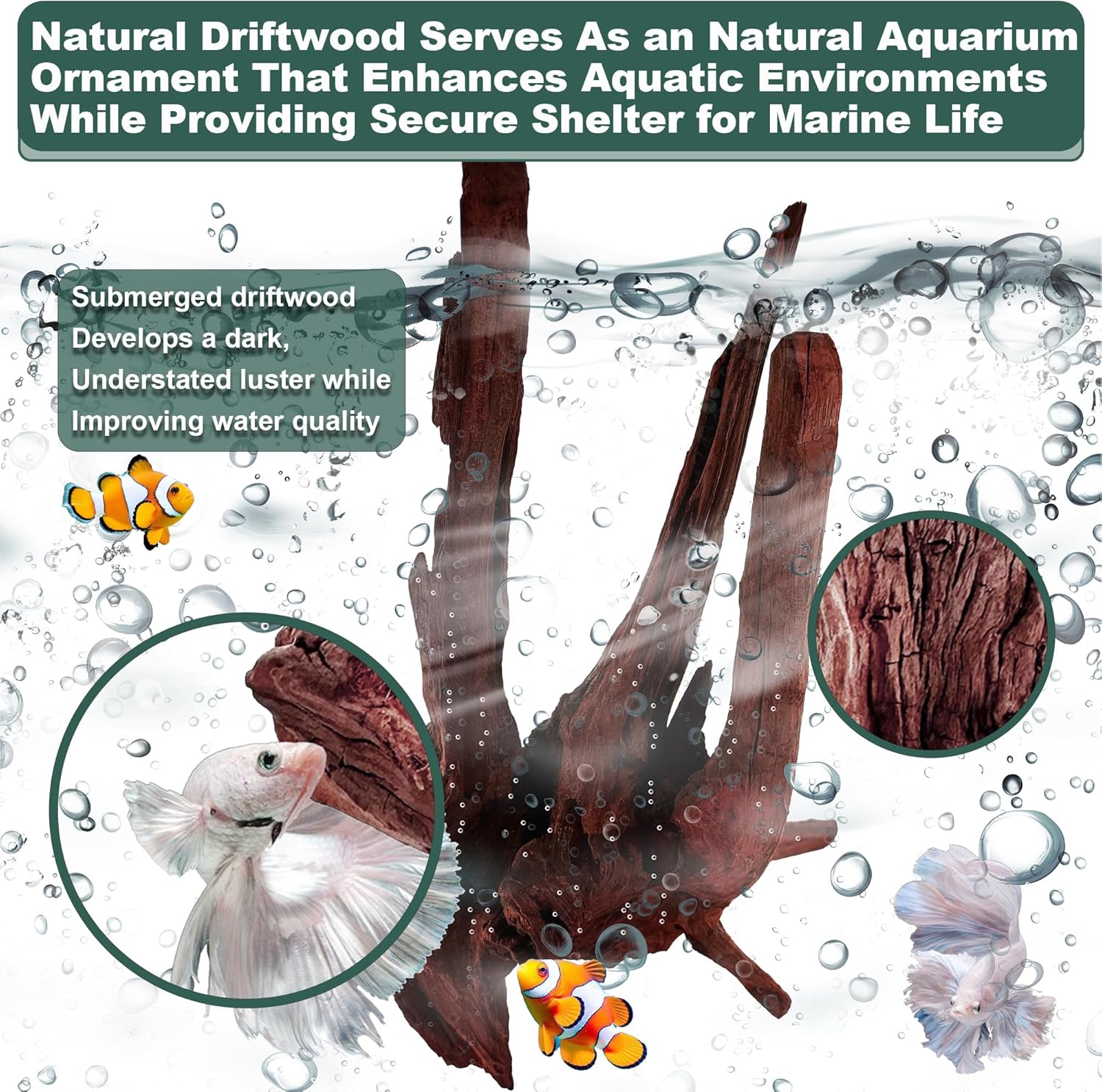 Natural Wood Driftwood for Aquarium Fish Tank Decor,Assorted Driftwood Trunk Branch for Reptile Tank Decor (MOP-ZYM Driftwood Medium (8 to12 Inch)-Pack of 1)