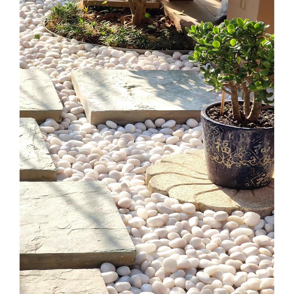20 lbs White Pebbles for Indoor Plants, 0.8-1.2 inch Small River Rocks for Plants. Decorative White Stones for Planters Vase Fish Tank and Outdoor Garden Landscaping Rocks