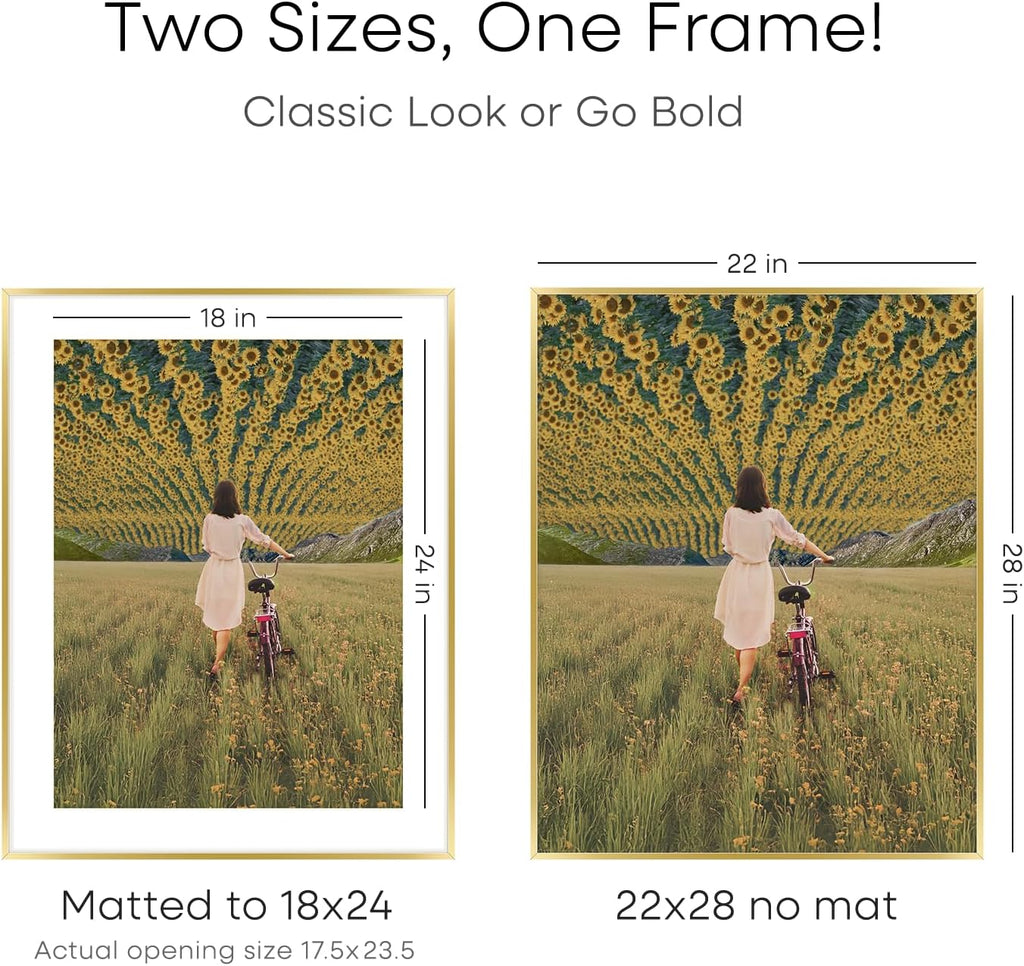 Homeforia 22x28 Picture Frame Gold, High End Metal 22 x 28 Large Poster Frames with Mat 18 by 24 for Photo, 22x28 Gold Frame Matted to 18x24 inch Print, 28x22 Frame, Tempered Glass, Wall Kit, Set of 3