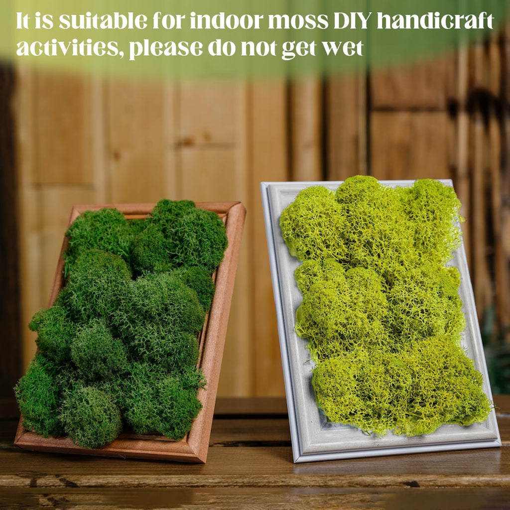 Preserved Moss,Moss Wall Art Moss Art Reindeer Moss Decorative Moss, Green Moss Crafting Moss for Crafts DIY Arts Wall Home Office Terrariums Wedding Decoration (Multicolored,1.8 Lb)