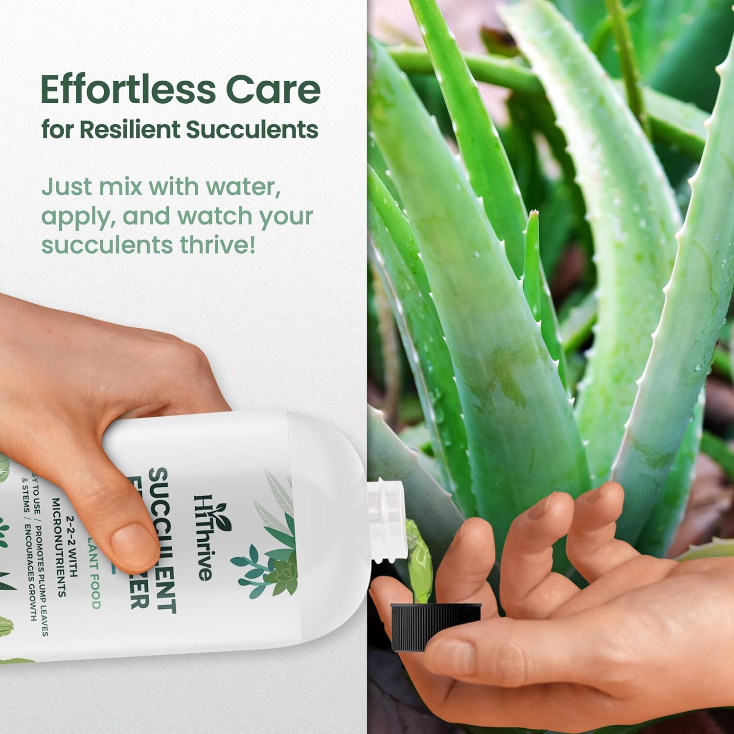 16oz Succulent Fertilizer - Makes 32 Gallons of Succulent Plant Food for Succulents Plants Live, Liquid Fertilizer for Succulents - Promotes Vibrant Leaves, Resilient Roots, and Plump Growth