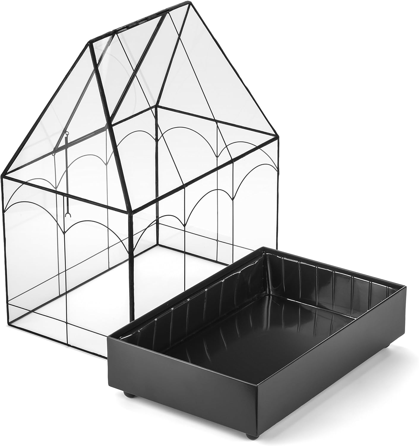 H Potter Glass Terrarium Wardian Case Succulent Planter Container for Plants Flowers Orchids Foliage and More WAR117