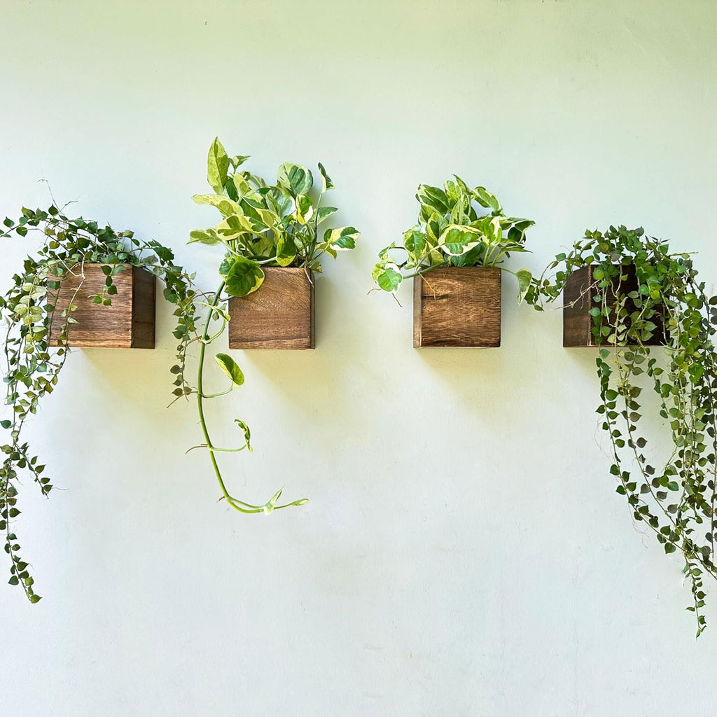 LaLaGreen Wood Planter Boxes (4x4 Inch, 4 Pack) Small Square Wooden Wall Mounted Flower Pot for Indoor Plants, Window Box Mount Hanging Herb Planters Outdoor Plant Holder Vertical Garden Home Decor