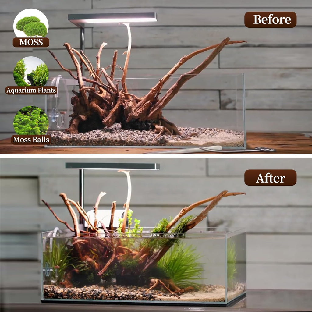 majoywoo Natural Large Driftwood for Aquarium Decor Reptile Decor, Assorted Spider Wood Branch 13-17" Long, Fish Tank Decoration