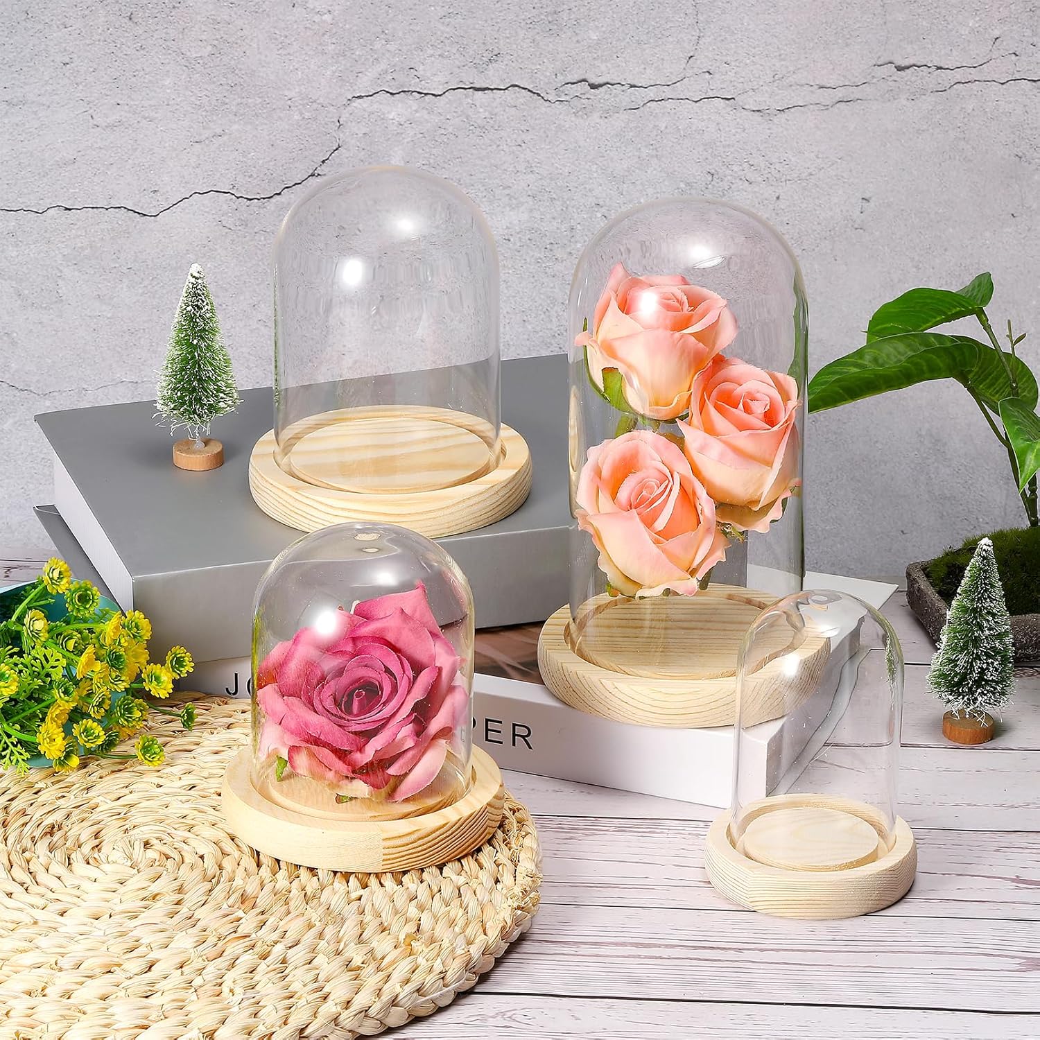 PATIKIL 5.1"x3.9" Clear Cloche Glass Dome, Glass Bell Jar Display Case Tabletop Centerpiece with Wooden Base for Plants Home Decor