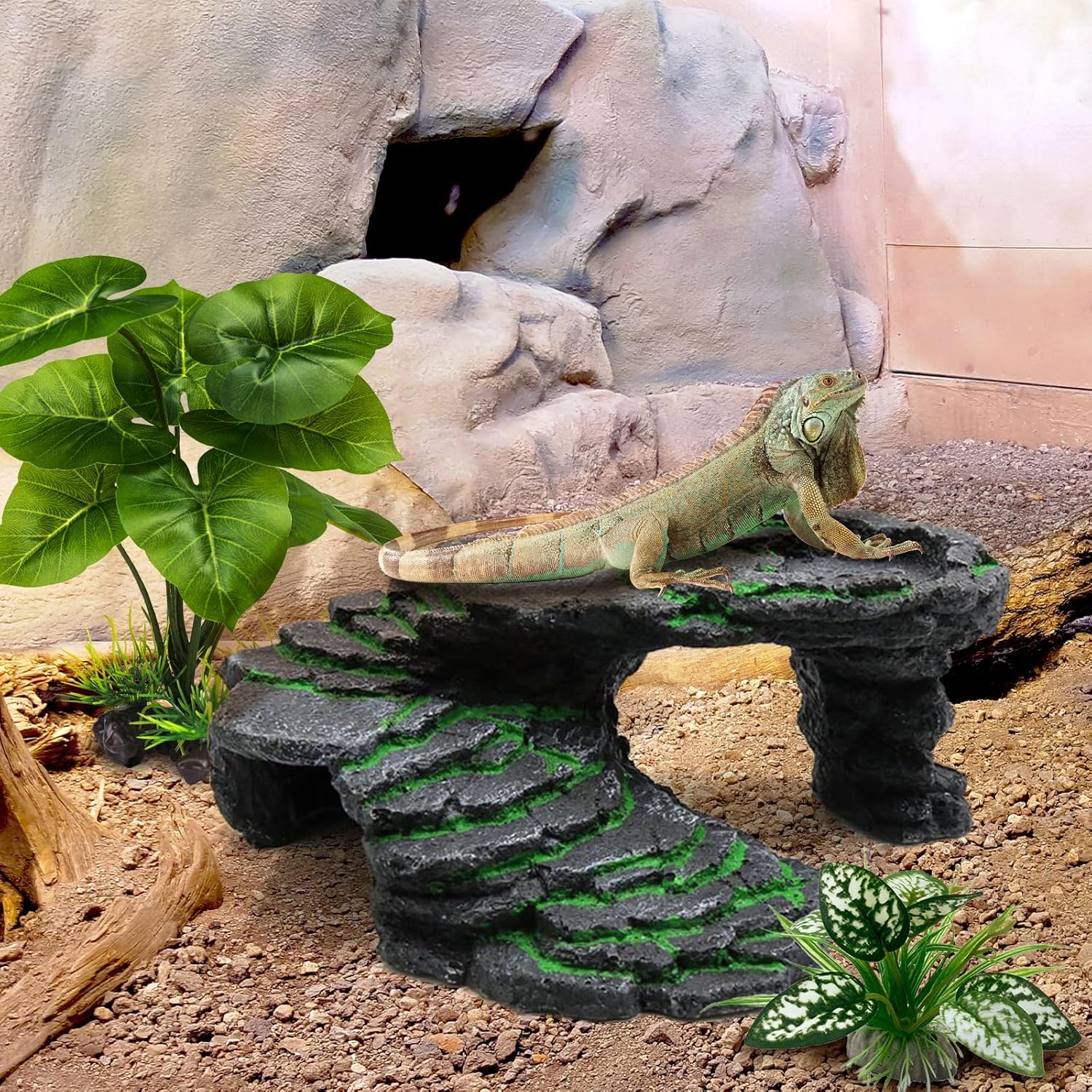 Reptile Artificial Plants, Terrarium Plants Decorations Supplies, Aquarium Fish Tank Plant, Amphibian Habitat Hideout Tank Accessories (M Set-2pcs/D)