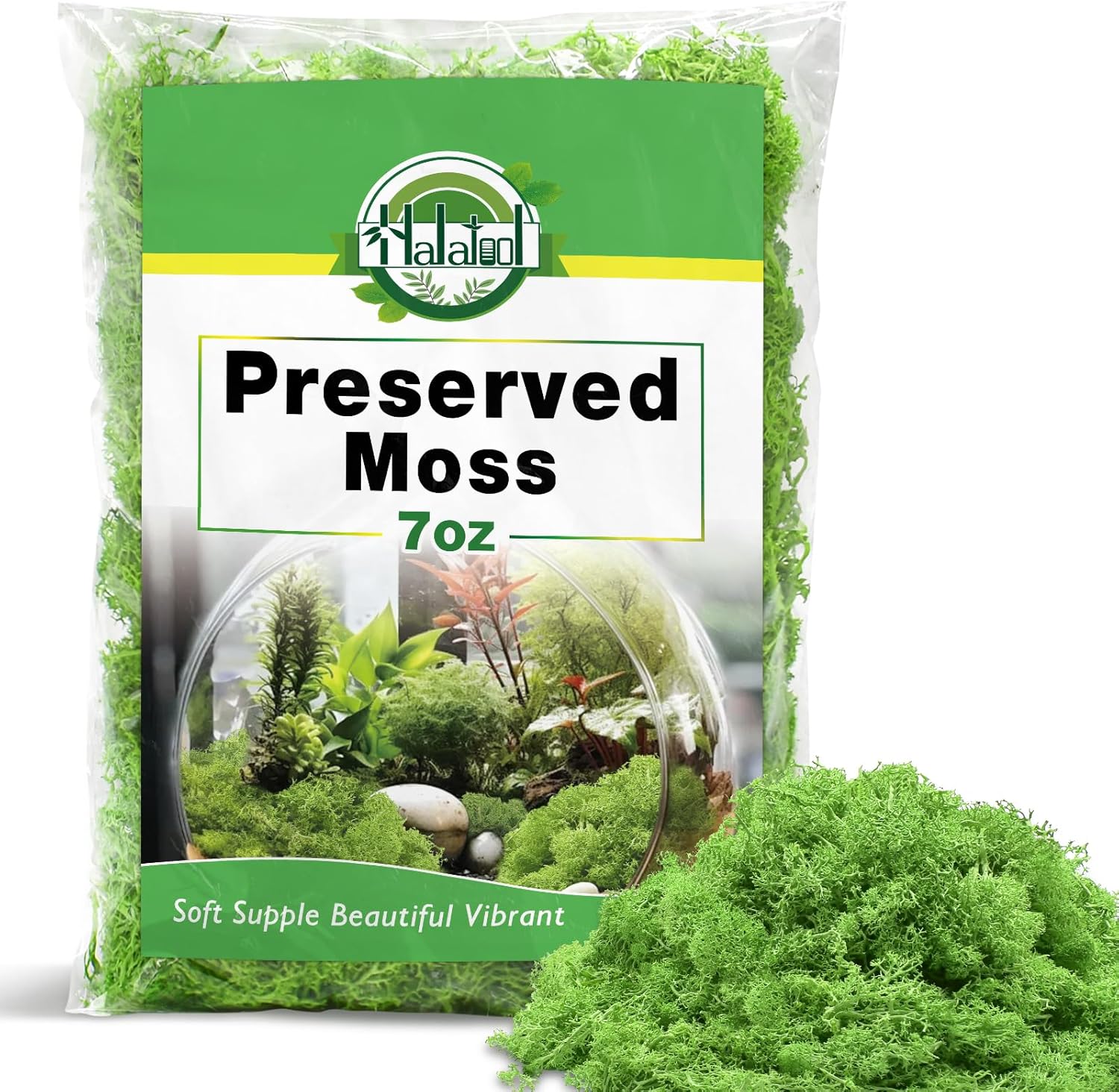 Halatool Preserved Moss for Crafts, Green Reindeer Moss for DIY Decorating Art Potted Fairy Garden Accessories Table Centerpieces Wedding Christmas Fairy Party Decor(7 OZ)